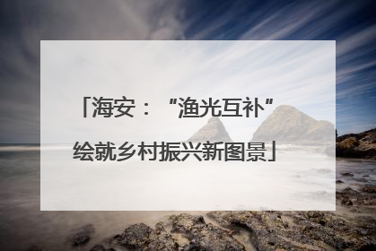 海安：“渔光互补” 绘就乡村振兴新图景