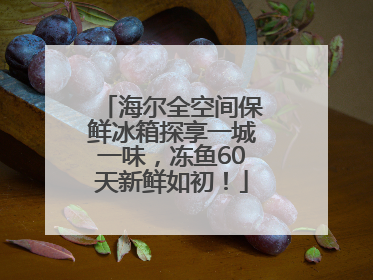 海尔全空间保鲜冰箱探享一城一味，冻鱼60天新鲜如初！