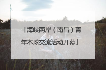 海峡两岸（南昌）青年木球交流活动开幕