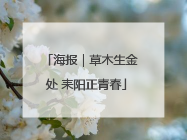 海报｜草木生金处 耒阳正青春
