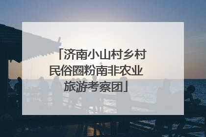 济南小山村乡村民俗圈粉南非农业旅游考察团
