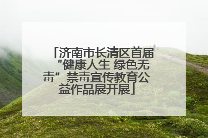 济南市长清区首届“健康人生 绿色无毒”禁毒宣传教育公益作品展开展