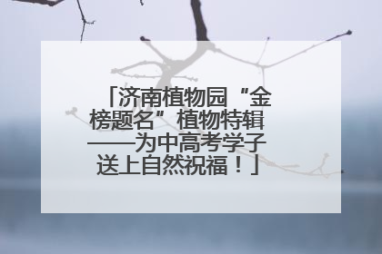 济南植物园“金榜题名”植物特辑——为中高考学子送上自然祝福！