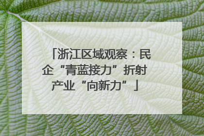 浙江区域观察：民企“青蓝接力”折射产业“向新力”