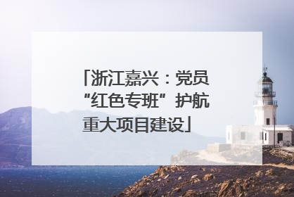 浙江嘉兴：党员“红色专班”护航重大项目建设