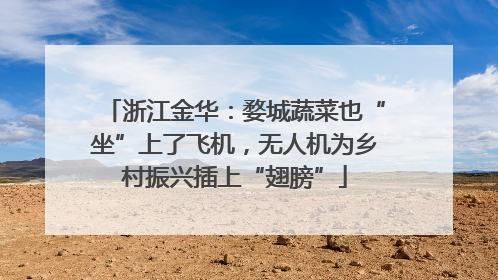 浙江金华：婺城蔬菜也“坐”上了飞机，无人机为乡村振兴插上“翅膀”