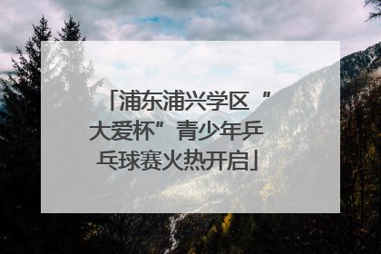 浦东浦兴学区“大爱杯”青少年乒乓球赛火热开启
