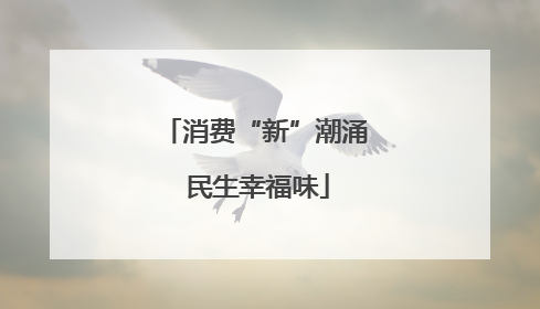 消费“新”潮涌 民生幸福味