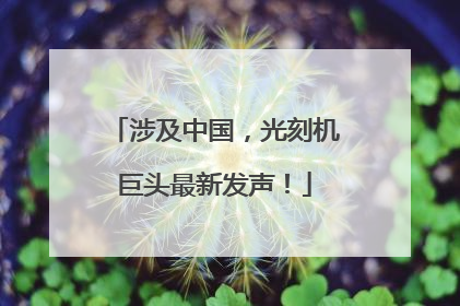 涉及中国，光刻机巨头最新发声！