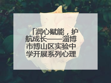 润心赋能，护航成长——淄博市博山区实验中学开展系列心理健康教育活动