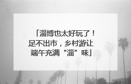 淄博也太好玩了！足不出市，乡村游让端午充满“淄”味