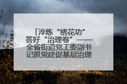 淬炼“绣花功” 答好“治理卷”——全省街道党工委副书记抓党建促基层治理培训示范班侧记