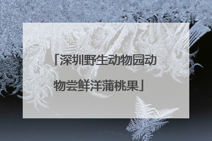 深圳野生动物园动物尝鲜洋蒲桃果