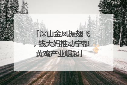 深山金凤振翅飞，钱大妈推动宁都黄鸡产业崛起
