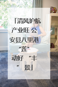 清风护航产业旺 公安县八里港 “莲” 动好 “丰” 景