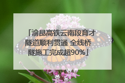 渝昆高铁云南段育才隧道顺利贯通 全线桥隧施工完成超90%