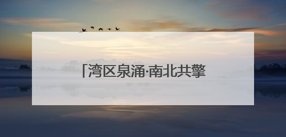 湾区泉涌·南北共擎——“花楸树”杯明湖慈善公益跑成功举办