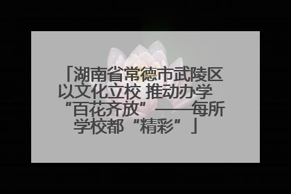 湖南省常德市武陵区以文化立校 推动办学“百花齐放”——每所学校都“精彩”
