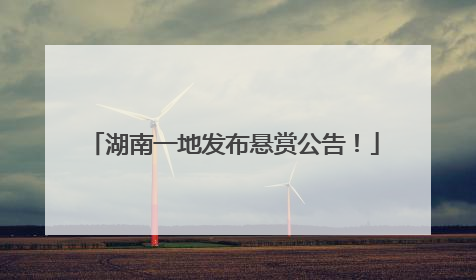 湖南一地发布悬赏公告！