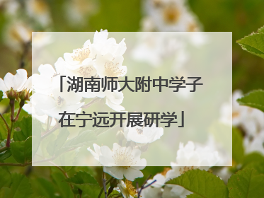 湖南师大附中学子在宁远开展研学