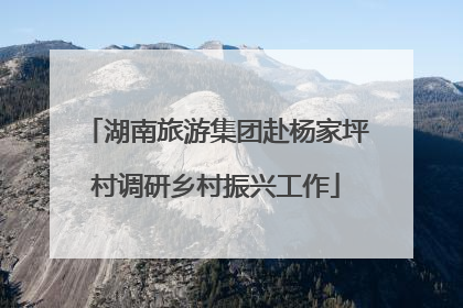 湖南旅游集团赴杨家坪村调研乡村振兴工作