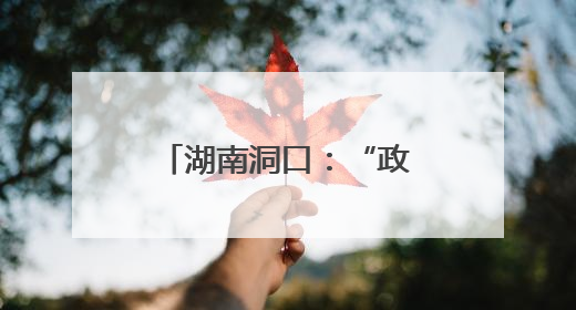 湖南洞口：“政企联合”保供电