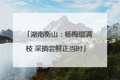 湖南衡山：杨梅缀满枝 采摘尝鲜正当时