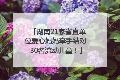 湖南21家省直单位爱心妈妈牵手结对30名流动儿童！