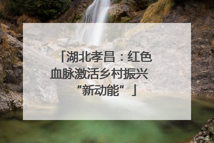 湖北孝昌：红色血脉激活乡村振兴“新动能”