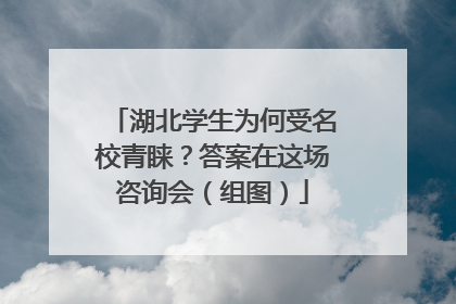 湖北学生为何受名校青睐？答案在这场咨询会（组图）