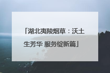 湖北夷陵烟草：沃土生芳华 服务绽新篇