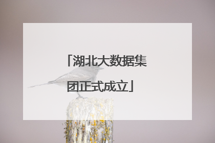 湖北大数据集团正式成立