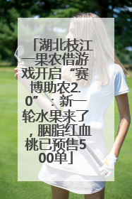 湖北枝江一果农借游戏开启“赛博助农2.0”：新一轮水果来了，胭脂红血桃已预售500单