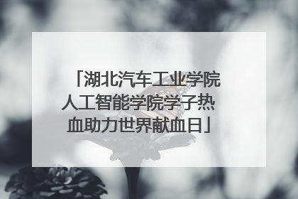 湖北汽车工业学院人工智能学院学子热血助力世界献血日
