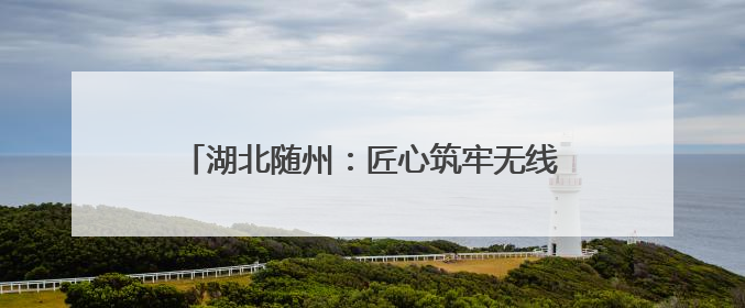 湖北随州：匠心筑牢无线屏障 电波护航华夏盛典