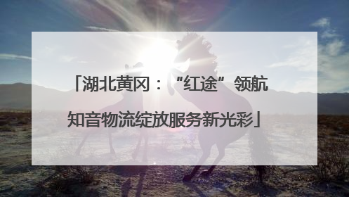 湖北黄冈：“红途”领航 知音物流绽放服务新光彩
