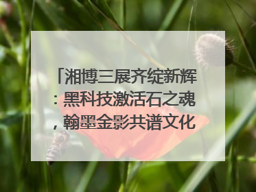 湘博三展齐绽新辉：黑科技激活石之魂，翰墨金影共谱文化遗产日华章
