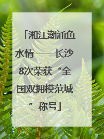 湘江潮涌鱼水情——长沙8次荣获“全国双拥模范城”称号