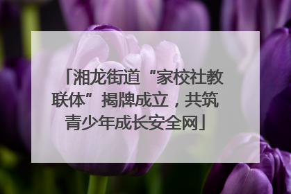 湘龙街道“家校社教联体”揭牌成立，共筑青少年成长安全网