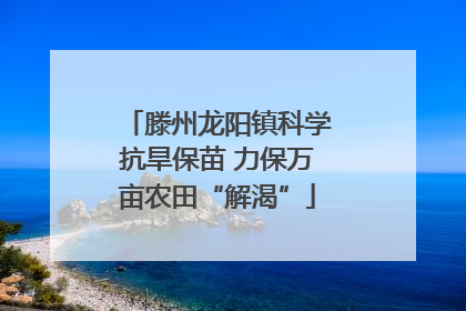 滕州龙阳镇科学抗旱保苗 力保万亩农田“解渴”