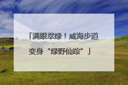 满眼翠绿！威海步道变身“绿野仙踪”