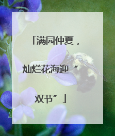 满园仲夏，灿烂花海迎“双节”