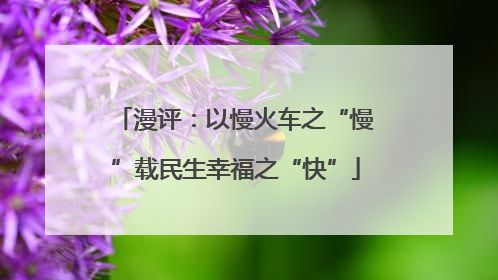 漫评：以慢火车之“慢”载民生幸福之“快”