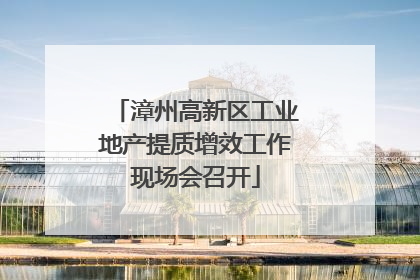 漳州高新区工业地产提质增效工作现场会召开