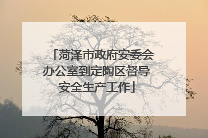 菏泽市政府安委会办公室到定陶区督导安全生产工作