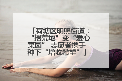 荷塘区明照街道：“撂荒地”变“爱心菜园” 志愿者携手种下“增收希望”