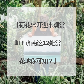荷花盛开迎来观赏期！济南这12处赏花地你可知？