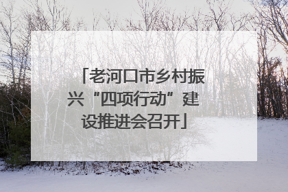 老河口市乡村振兴“四项行动”建设推进会召开