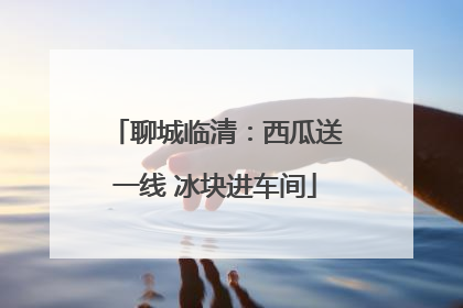 聊城临清：西瓜送一线 冰块进车间