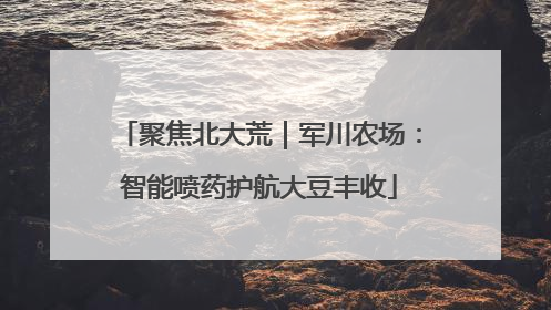 聚焦北大荒｜军川农场：智能喷药护航大豆丰收